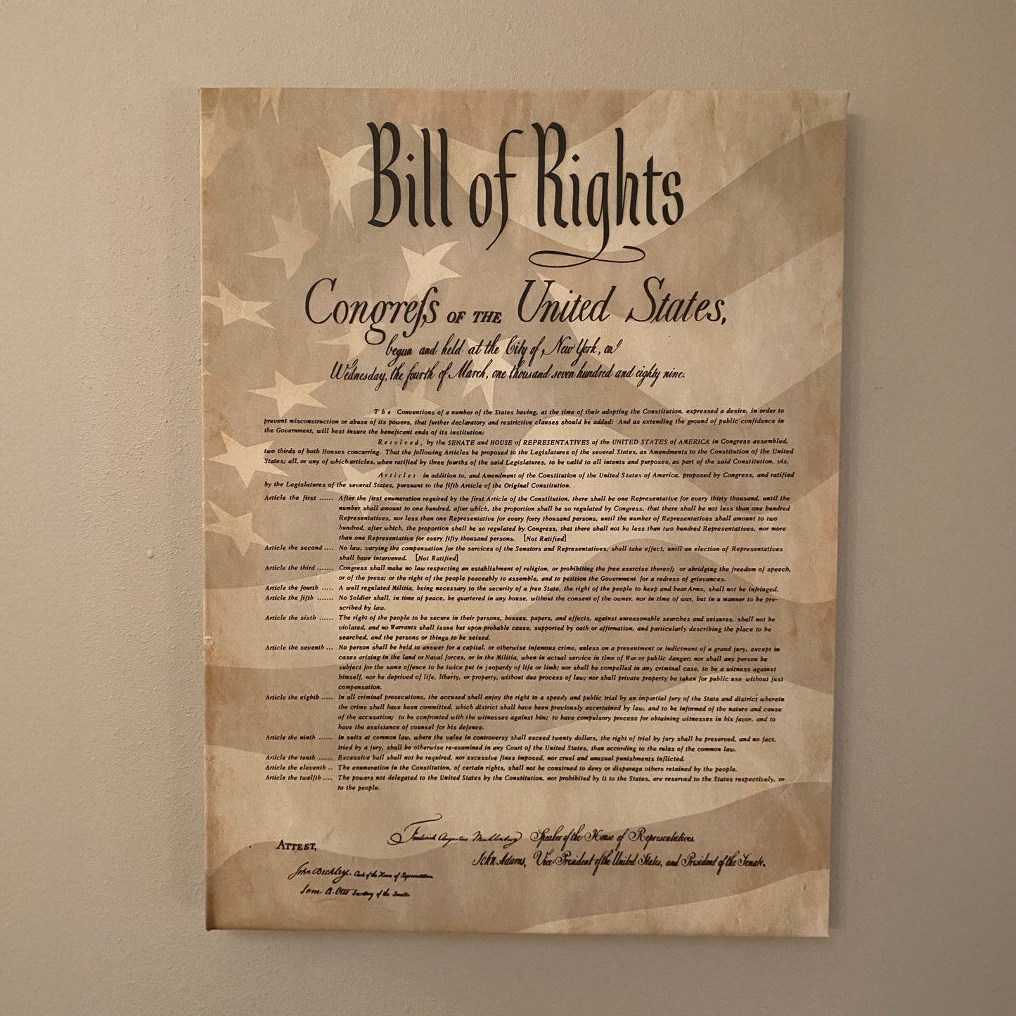 Bill of Rights Canvas